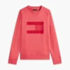 Bluza raglanowa z logo flagi i szczotkowanym wnętrzem Bluza raglanowa z logo flagi i szczotkowanym wnętrzem