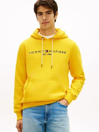 Bluza z kapturem z haftowanym logo Tommy