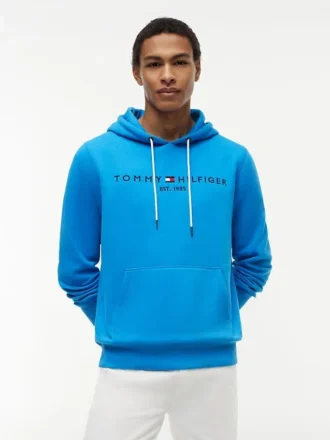 Bluza z kapturem z haftowanym logo Tommy