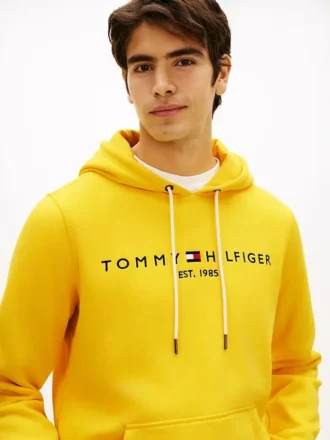 Bluza z kapturem z haftowanym logo Tommy
