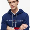 Bluza z kapturem z haftowanym logo Tommy w stylu colorblock Bluza z kapturem z haftowanym logo Tommy w stylu colorblock