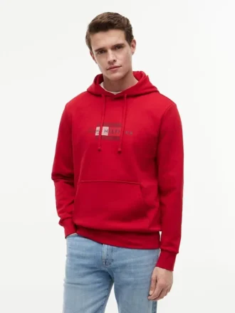 Bluza z kapturem z logo Script Flag