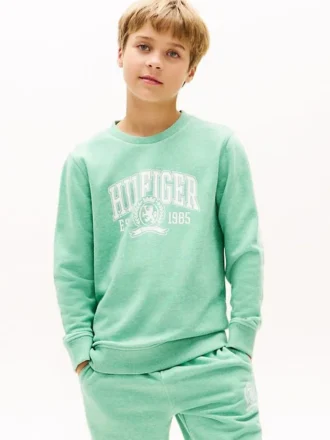 Dziecięca bluza Hilfiger z logo 85