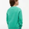 Dziecięca bluza raglanowa z logo Tommy Flag Dziecięca bluza raglanowa z logo Tommy Flag