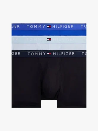 Zestaw 3 par bielizny TH Micro Trunk