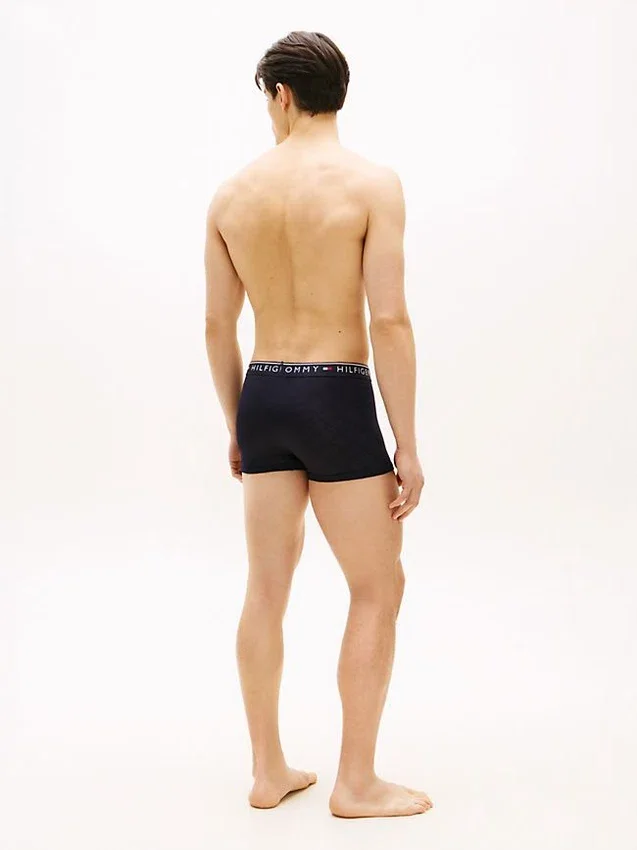 Zestaw 3 par bielizny TH Micro Trunk Zestaw 3 par bielizny TH Micro Trunk